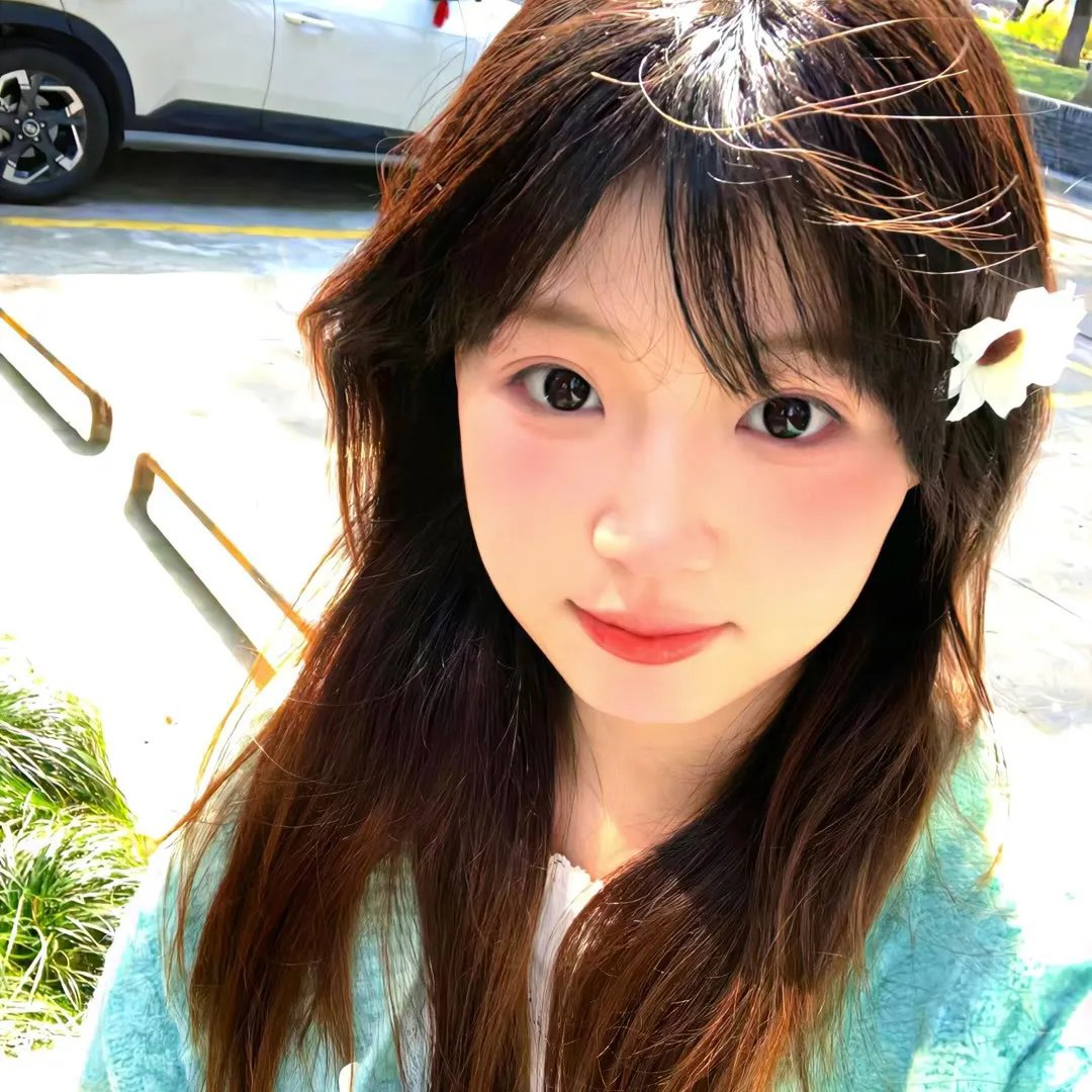 山有木兮木有心