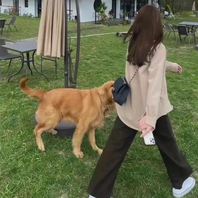 公平的爱